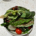 The  salad  portion  is    quite  generous    and  included  many  types  of  vegetables .  Wonderful  .