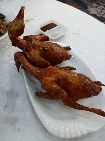 红烧乳鸽