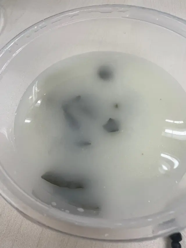 絕對唔係cream  soup。中式湯嚟架