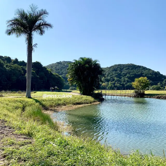 餐廳風景