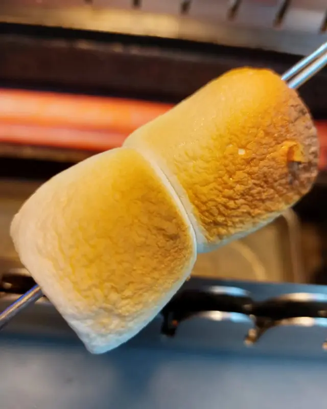 完美的棉花糖 平時我沒本事燒得甘好