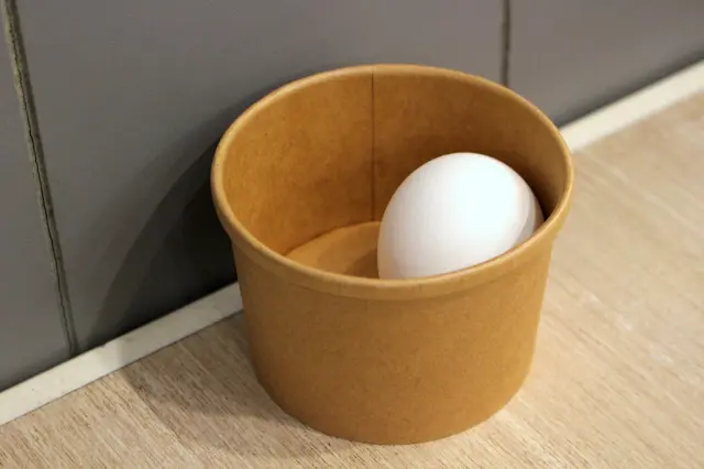 日本溫泉蛋