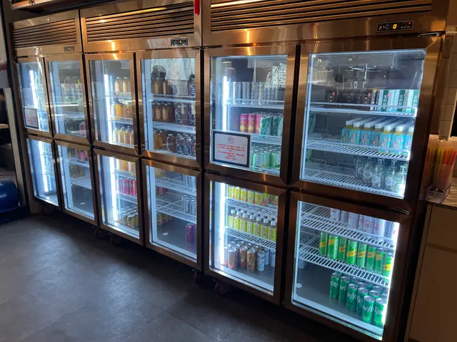 大大個雪櫃任飲