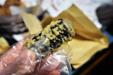 炸紫菜卷