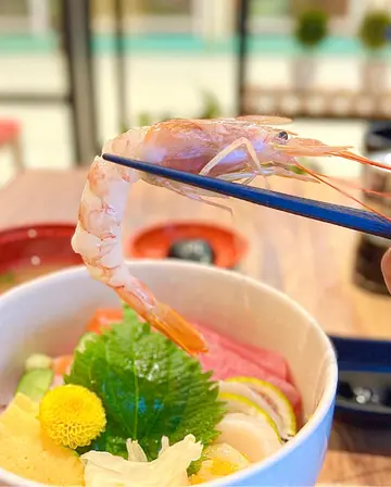 海鮮丼 雜錦刺身飯