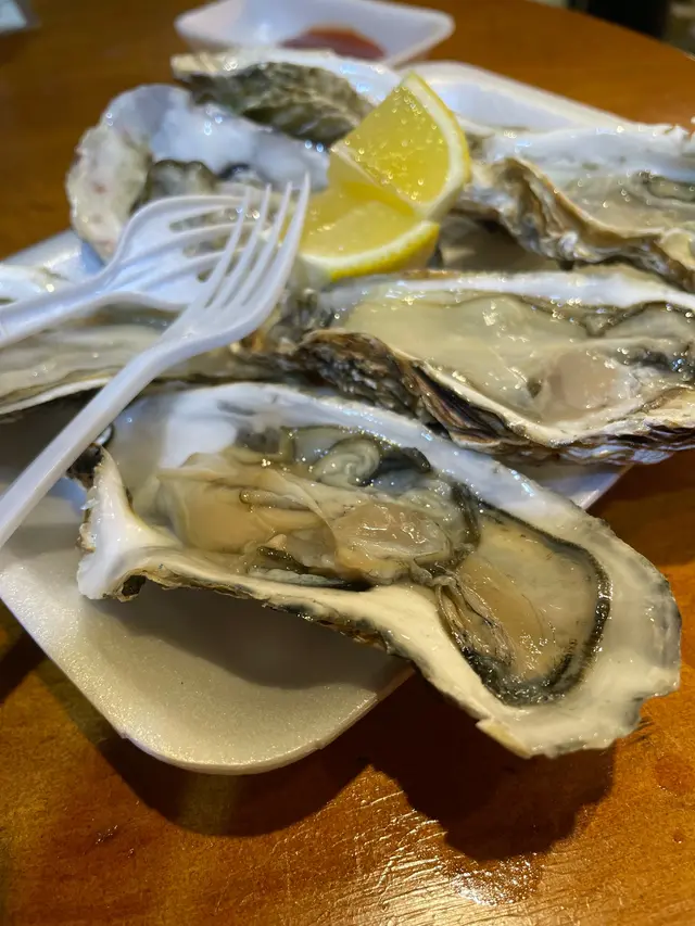 法國蠔種（韓國養殖）