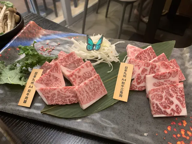 日本九州A4和牛肉眼+ 日本九州A4和牛三角胸