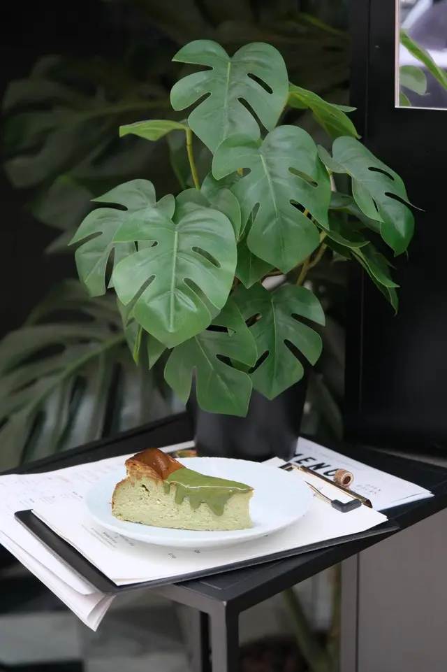 Matcha  Burnt  Cheese  Cake  