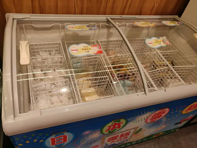 日本雪糕