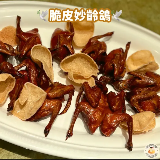 脆皮妙齡鴿🕊️