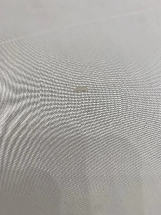 飯粒散在桌上四周