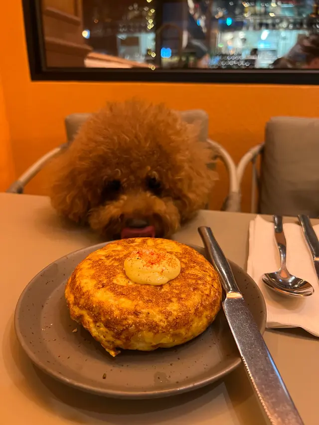 EL  Cerdo  Classic  Tortilla  with  Potato,  Eggs  &  Onion