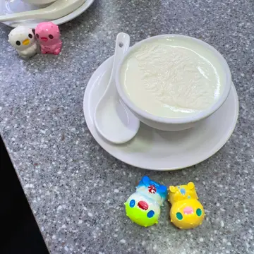 驰名双皮炖奶