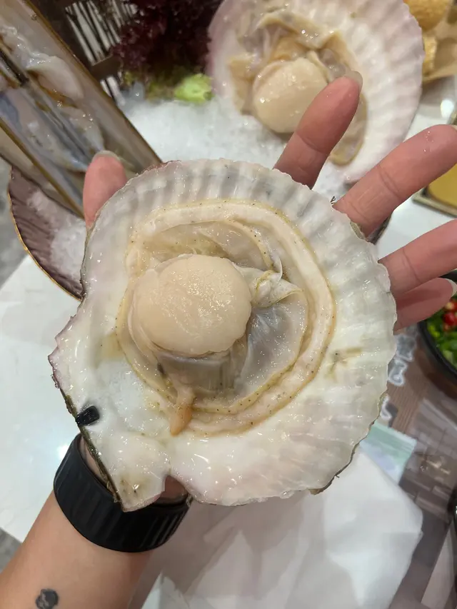 ▶️日本大扇貝呢個我係一路食一路吾吾聲😂太大隻啦，我未食過一隻扇貝係同我個手掌一樣大，烚完之後甩殼就攞去食，啖啖肉好新鮮。。。真係好新鮮。。。呢個真係回味嘅扇貝👍🏼