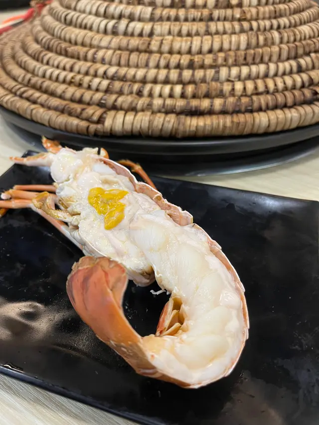 澳洲青年龍蝦
