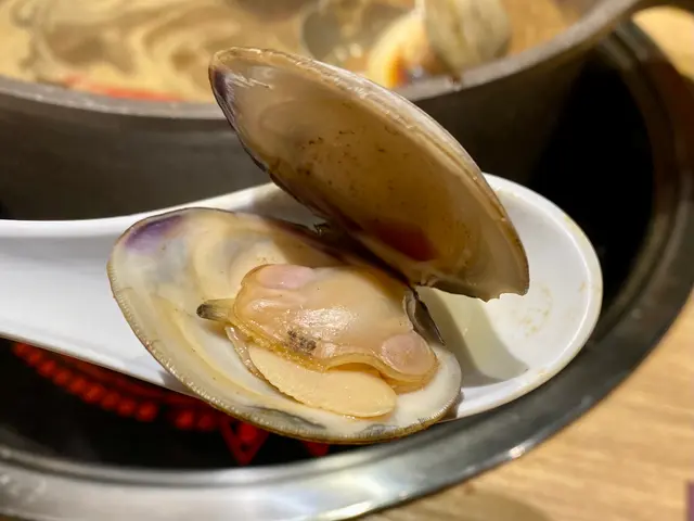 大蜆