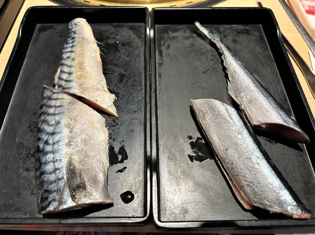 鯖魚,