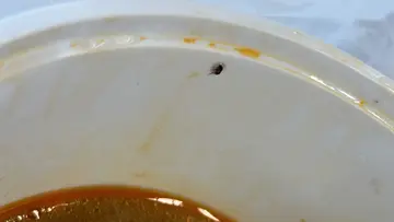 麻辣燙6送