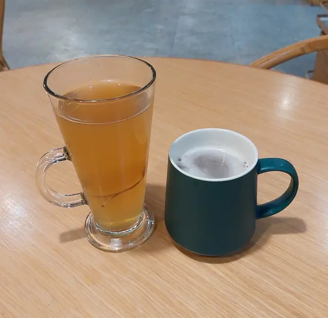 金羅漢果海底椰