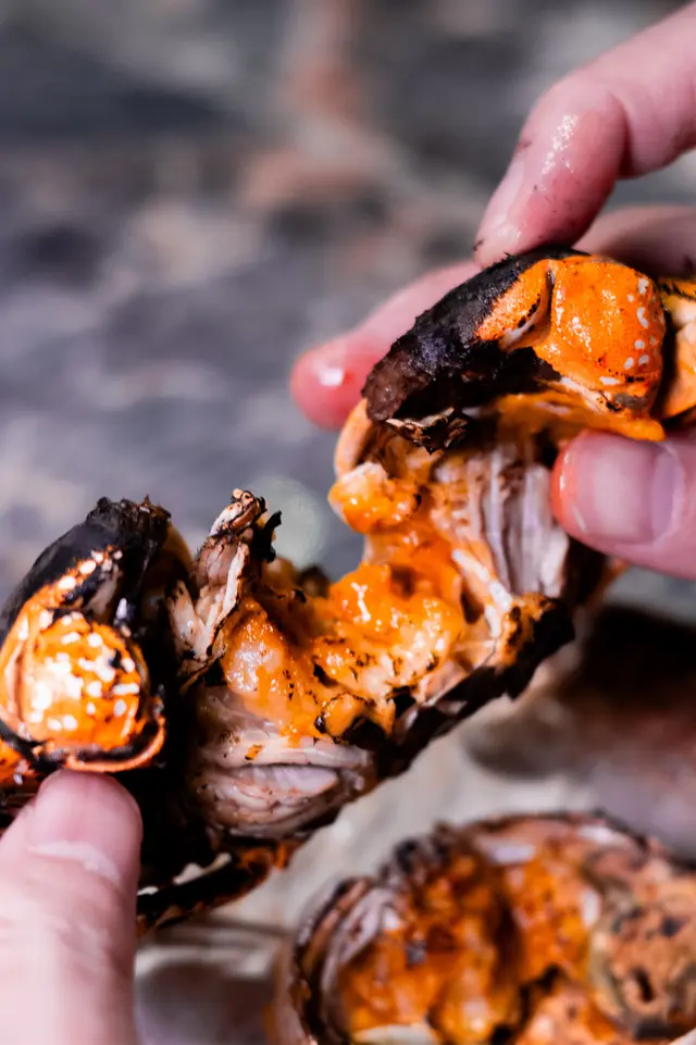 炭燒江蘇大閘蟹