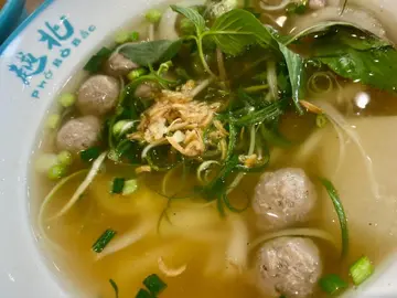 越南生牛肉河粉
