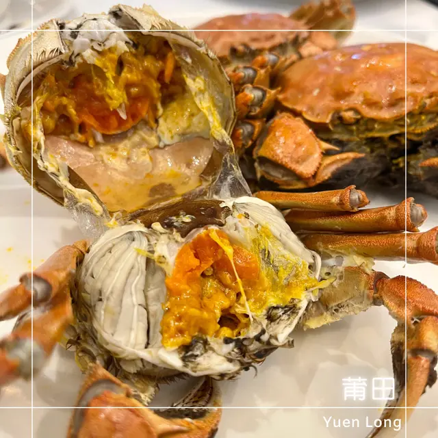 大閘蟹