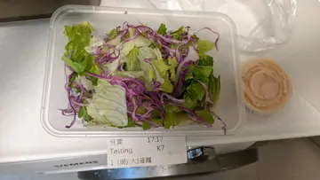 菠蘿沙律 （完全無俾菠蘿）