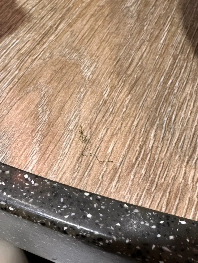 綠色疑似百潔布絲異物。