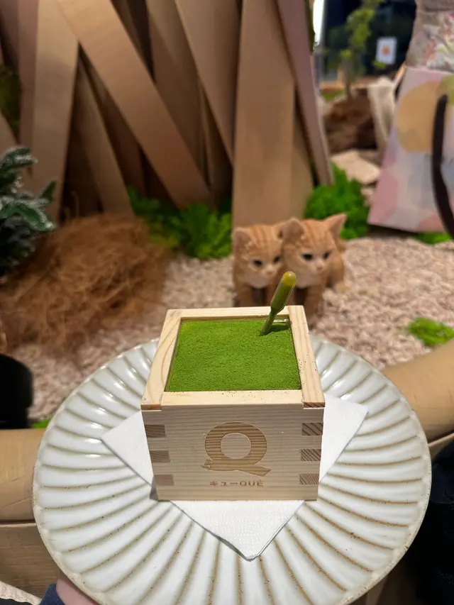 抹茶提拉米蘇盒子 配 糖漬紅豆