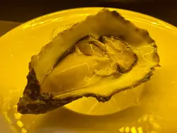 Black Pearl France 法国黑珍珠生蚝