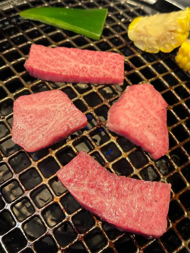 特選飛驒牛牛排肉
