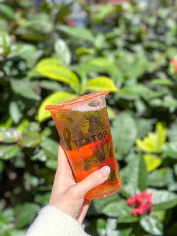 108茶王
