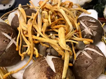 杂菌并盘