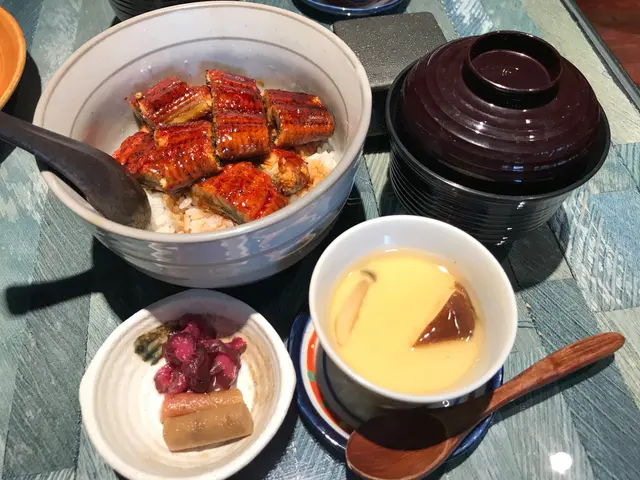 Unagi Don - Eel Rice Bowl