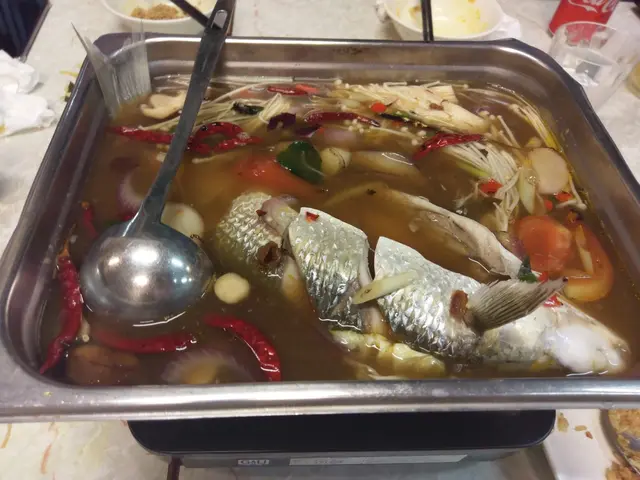 明爐鰂魚