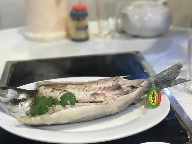 元朗黃油烏頭王