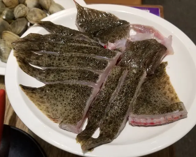 多寶魚
