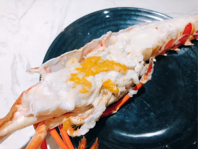 澳洲青年龍蝦
