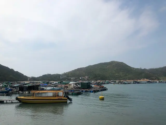 望住呢個view嘆餐好  很治癒