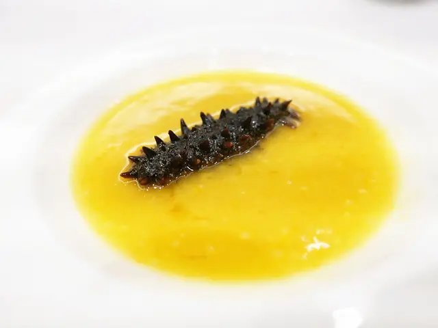 金湯小米北海道遼參