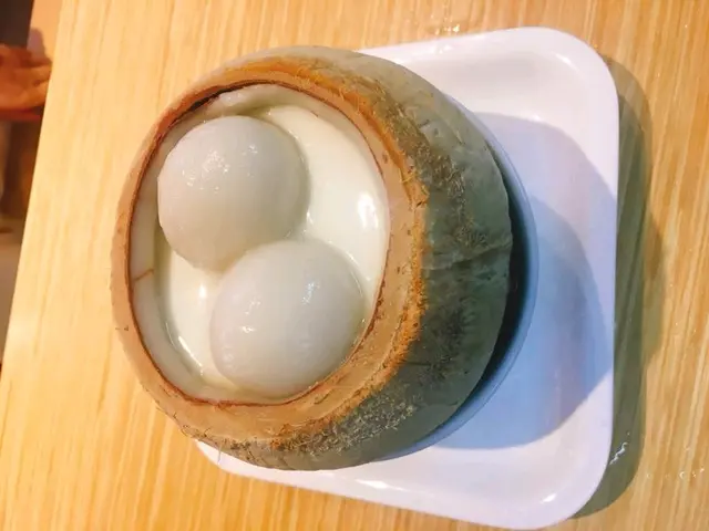 凍食無糖椰皇芒果小丸子