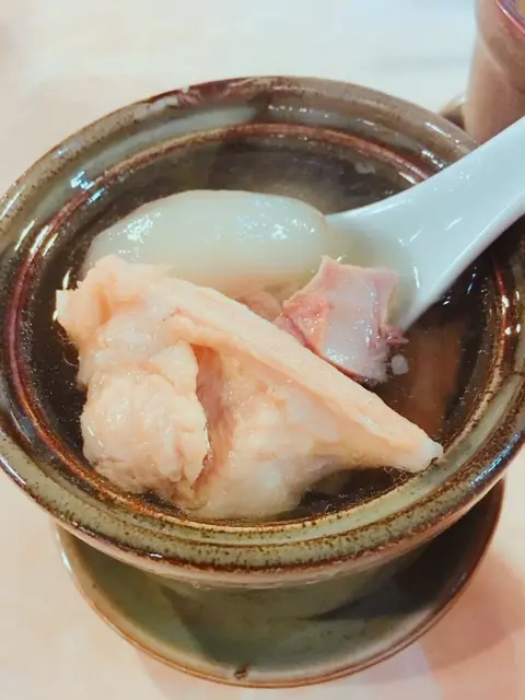 原盅燉川貝陳皮海底椰鱷魚肉湯