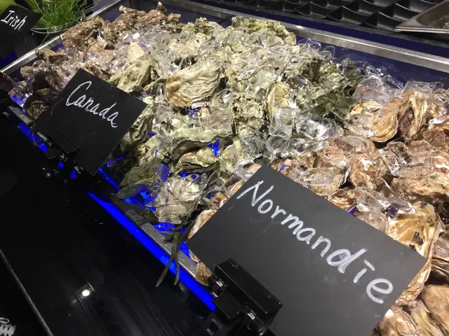 一開始有三款生蠔