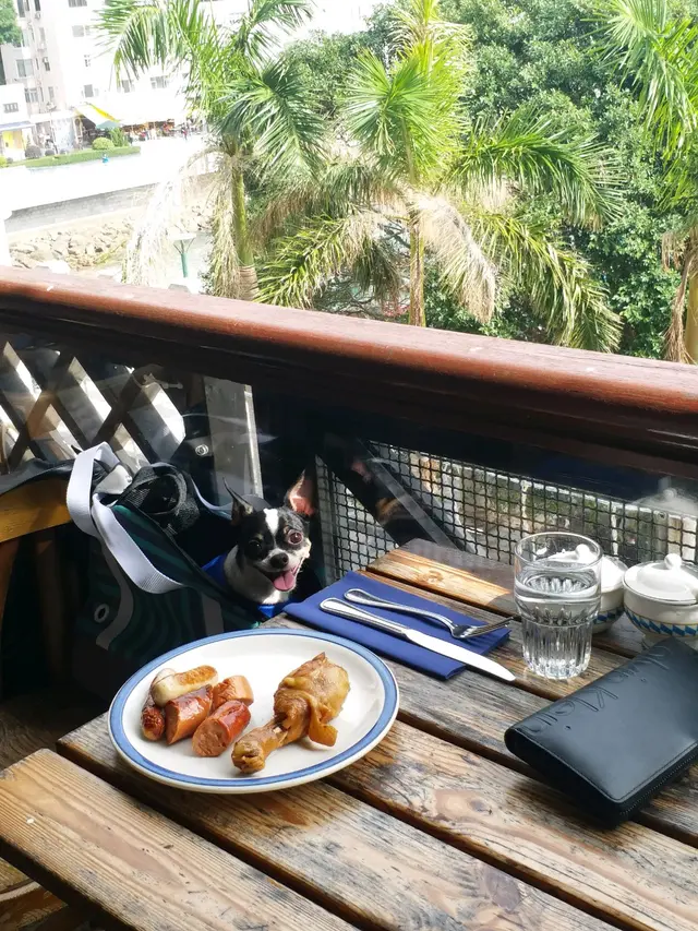可以在室外露台範圍和寵物一同進餐( 中小型犬)