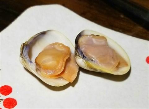 蛤蜊 - 尖沙咀的南瀛水產