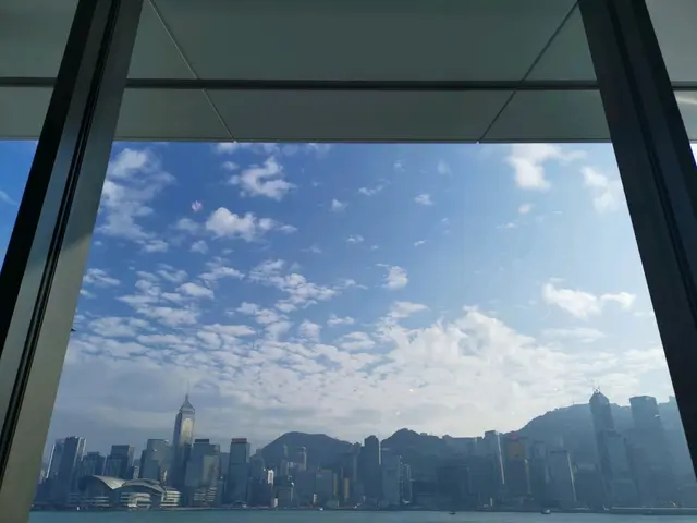 有很好的维港景致可欣赏，店外还有位子可以边吹海风边吃美食