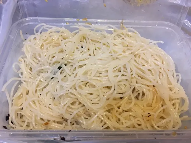 呢個炒米5蚊都比多,伏到喊,鹹到我食左一啖要被逼即棄