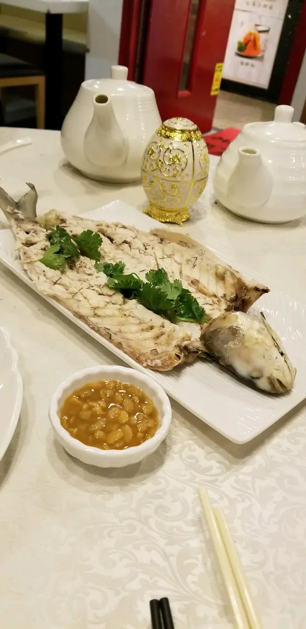 潮式凍烏頭