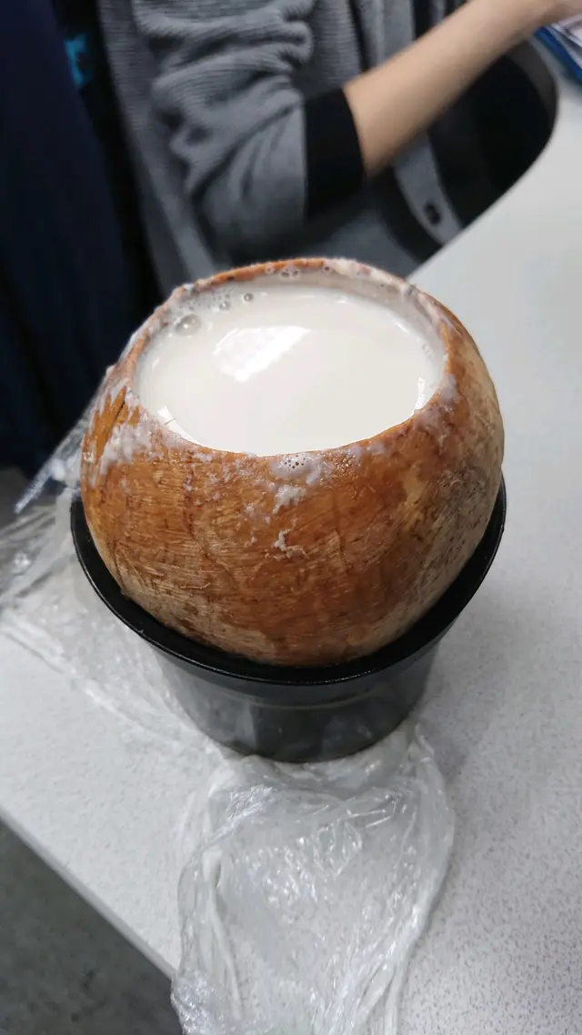 椰皇雪蛤膏