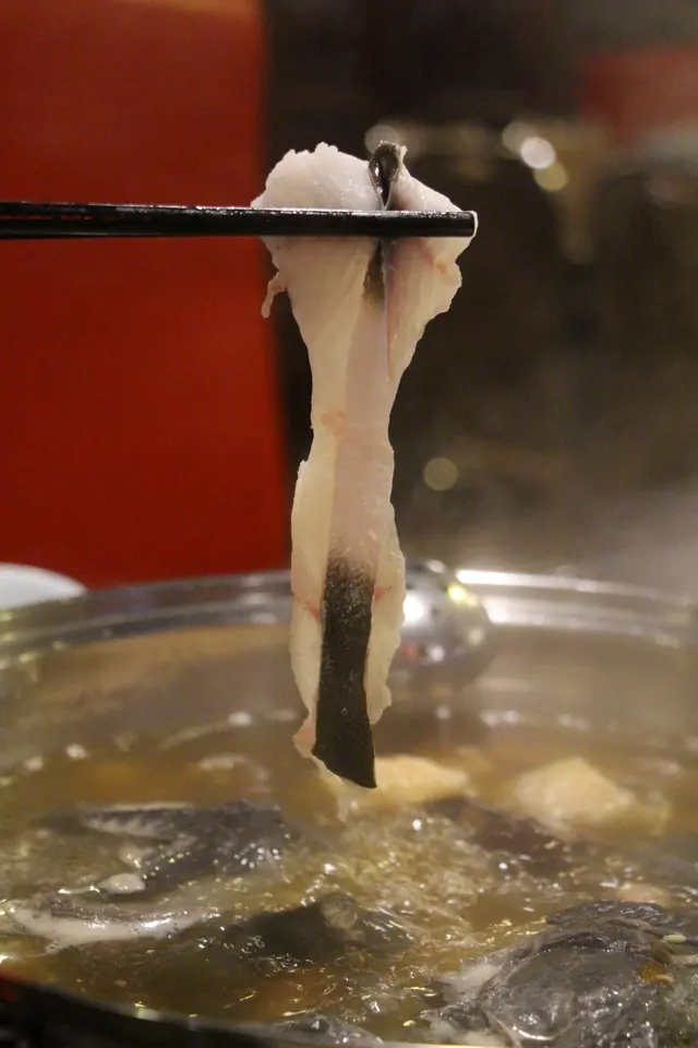 白鱔片
